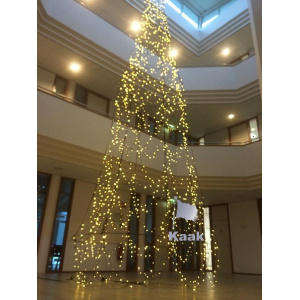 indoor_kerstboom_503362697